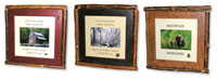 Willow Trimmed Photo Frames