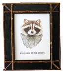 Welcome Raccoon